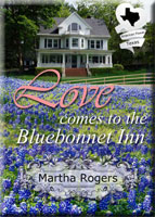 book cover: summer's surprise